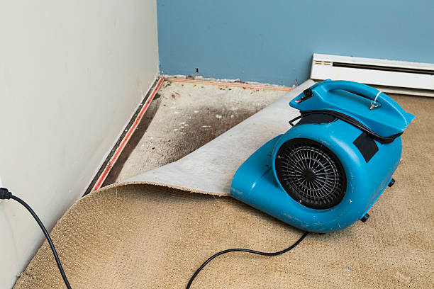 Best Water damage contractors near me  in Bakersfield, CA